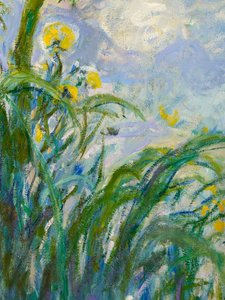 Yellow Iris yksityiskohta 154652 öljy kankaalle